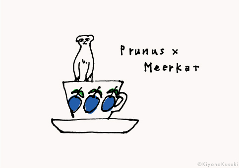 プルヌス × ミーアキャット